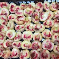 لواشک تازه با میوه های تابستانی و کشته میوه خشک|خوردنی و آشامیدنی|مشهد, شهید فرامرز عباسی|دیوار