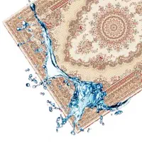 قالیشویی و مبل شویی باوان ( سرویس در فاز 12345)
