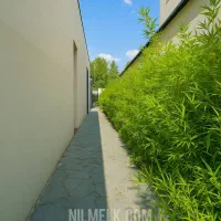 اجاره سالیانه ویلا استخر دار در بهترین لوکیشن|اجارهٔ خانه و ویلا|شهریار, شهریار|دیوار