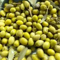 محصولات ارگانیک رودبار زیتون