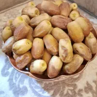زاهدی درجه یک
