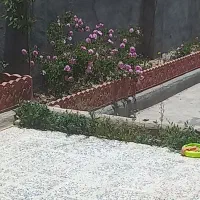 مرغداری گوشتی ۷۰۰۰ هزار قطعه
