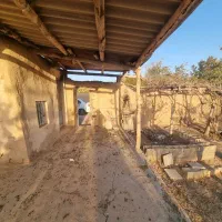 باغ.شاهرود، روستای مغان.جهت سرمایه گذاری|فروش زمین و ملک کلنگی|شاهرود, |دیوار