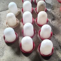 دانخوری آبخوری|لوازم جانبی حیوانات|پارسآباد, |دیوار