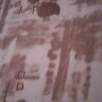 موکت کارکرده