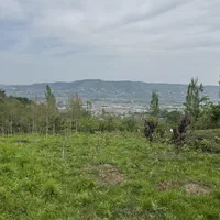 ۲۰۰۰ متر زمین باغ میوه ویودار در بابلکنار