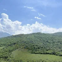 زمین جهت سرمایه گذاری