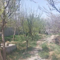 1000 متر زمین به همراه ۲۵ متر بنای قدیمی مهرچین|فروش زمین و ملک کلنگی|تهران, قزل قلعه|دیوار