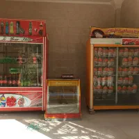 یخچال ایستاده مرغ فروشی