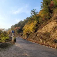 فروش زمین جلال اباد کوچه برج کبوترخانه