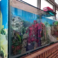 آکواریوم پایینترین قیمت خوش سایزویژه منزل ومحل کار