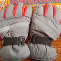 دستکش موتور|لباس|گنبد کاووس, |دیوار