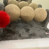 اسکرچر گربه