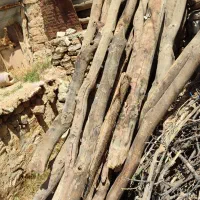چوب(دار بلوط و چنار)