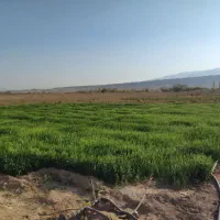 فروش زمین کشاورزی در راین روستای ده ملک