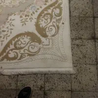 فرش 9متری|فرش|شیراز, اصلاحنژاد|دیوار