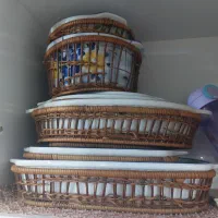 چینی گل  ابی