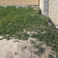 فروش زمین ۲۱۰ متری پشت بیمارستان قلعه خمیسی|فروش زمین و ملک کلنگی|باغ ملک, |دیوار