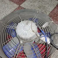 عروسک هوا رقصان|اسباببازی|لاهیجان, یوسف آباد|دیوار