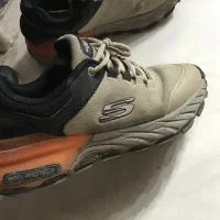 کتونی اسکیچرز|کیف، کفش، کمربند|ماسال, |دیوار