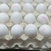 فروش تخم مرغ با قیمت خیلی مناسب در مهرشهر