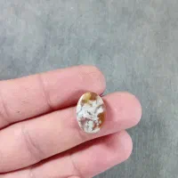 مجموعه عقیق شجر بهاره|جواهرات|بم, |دیوار