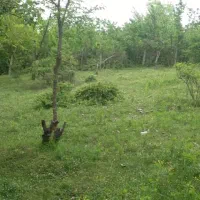 زمین-شهرکی-منطقه-شمعجاران