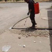 سم پاشی حرفه ای منازل ادرات و باغ و ...|خدمات نظافت|دزفول, |دیوار