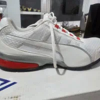 کتونی پوما اورجینال