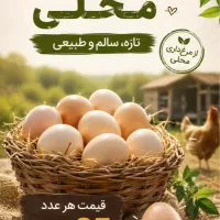 تخم مرغ