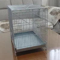 قفس سهره قناری|لوازم جانبی حیوانات|رباط‌کریم, شترخوار|دیوار