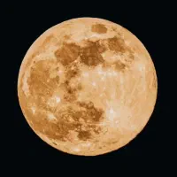 موبایل mi 9t|موبایل|رشت, گلباغ نماز|دیوار