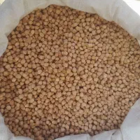 نخود دیم کرمانشاهی یک تن