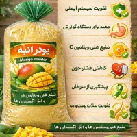 تولید کننده پودرانبه و سس انبه به قیمت عمده