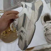 کفش در حد نو|کیف، کفش، کمربند|تربت‌حیدریه, آغوی|دیوار