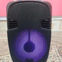 اسپیکر 8  اینچ نو