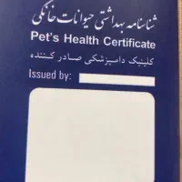 سگ ۲ ماهه نژاد ژرمن ورک ماده شناسنامه دار|سگ|هشتگرد, مدرس|دیوار