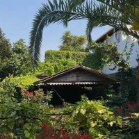 خدمات کار در منزل