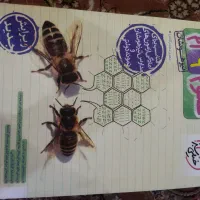 کتاب علوم نهم خیلی سبز  تیزهوشان