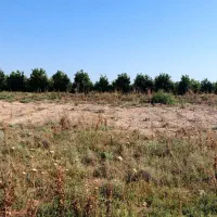 زمین سیامنصور|فروش دفتر صنعتی، کشاورزی، تجاری|دزفول, |دیوار