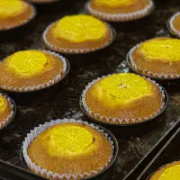 آموزش انواع شیرینی در اندیشه سازان|خدمات آموزشی|اهواز, کیانپارس |دیوار