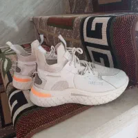 کفش در حدنو