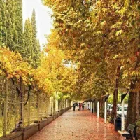 فروش منزل ویلایی دوخوابه خ مفتح