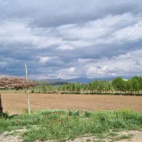 زمین کشاورزی ابی