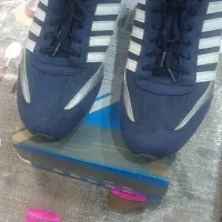 کفش|کیف، کفش، کمربند|ابریشم, |دیوار