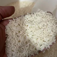 برنج اعلا میانه ماما