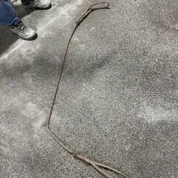 شگل و تسمه و سیم بوکسل کابل ۱۶*۱.۵جهت تاور کرین|مصالح و تجهیزات ساختمان|اصفهان, کوی شهید کشوری|دیوار