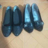 کفش|کیف، کفش، کمربند|رفسنجان, |دیوار