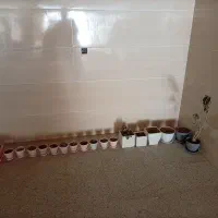 گلدان|گل و گیاه طبیعی|اردکان, |دیوار