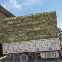 خرید فروش پرس یونجه همه روزه